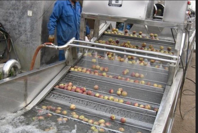industrial fruit washing machine