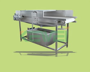 Industrial blueberry / strawberry / blackberry washing / cleaning machine