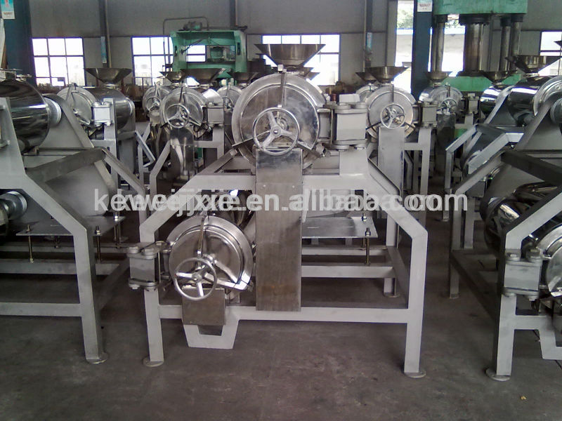 fruit and vegetables pulping machine